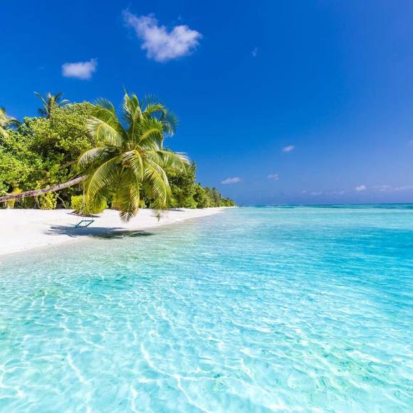 Meet your Posher, Lisa - Picture 1 of 1